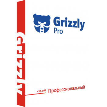 Ключ активации Grizzly Pro Профессиональный  1 год / 2 ПК